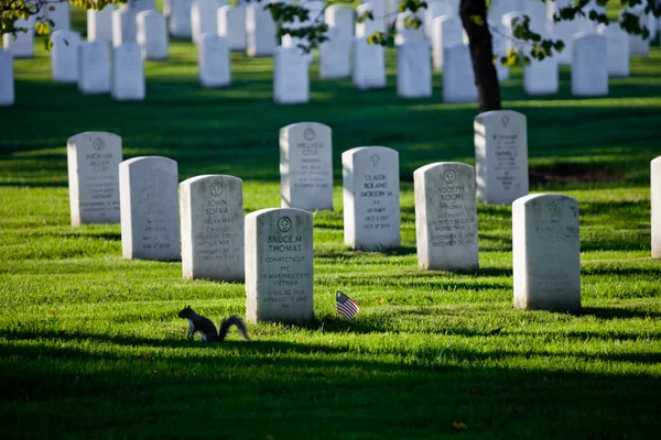 WASHINGTON DC - PTOM 16 : Lignes et colonnes de tombes de soldats américains — Photo