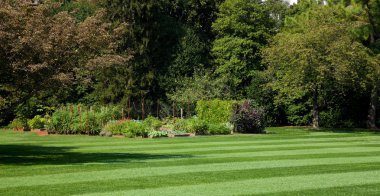Beyaz Saray mutfak Bahçesi, washington dc.