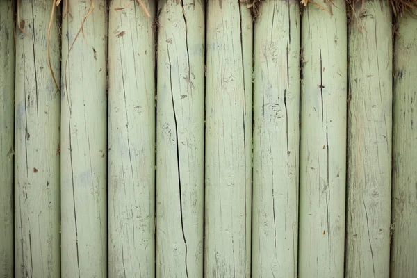 Wood texture of cut tree trunks, close-up — Stock Photo, Image