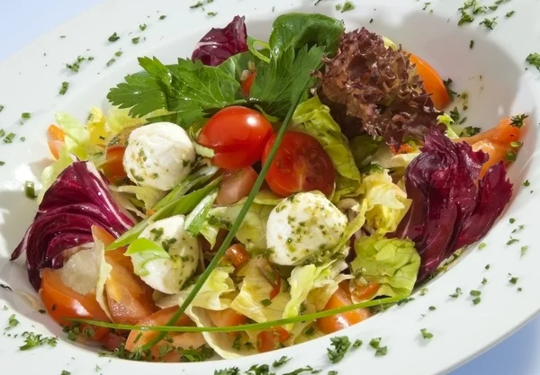 Ensalada de lechuga con Mozzarella —  Fotos de Stock