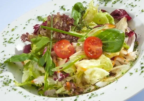 Salada de alface w salsa e espinafre — Fotografia de Stock