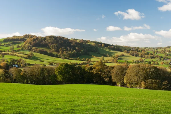 Wales Büyük pastureland — Stok fotoğraf