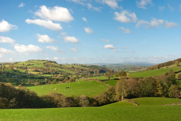 Large pastureland in Wales — Stock Photo, Image