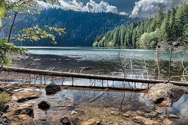 Glacial Black Lake surrounded by the forest — Stock Photo, Image