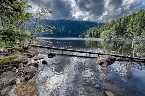 Glacial Black Lake surrounded by the forest — Stock Photo, Image