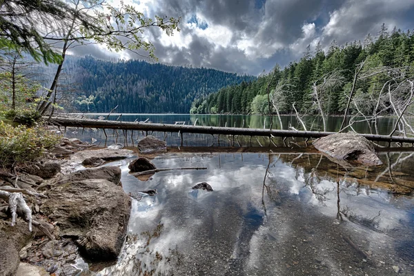 Glacial Black Lake surrounded by the forest — Stock Photo, Image