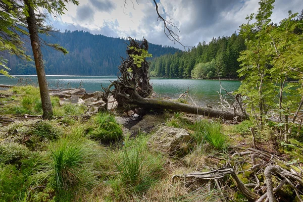 Glacial Black Lake surrounded by the forest — Stock Photo, Image