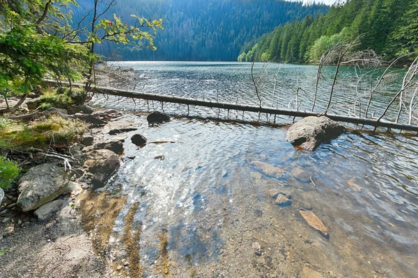 Glacial Black Lake surrounded by the forest — Stock Photo, Image