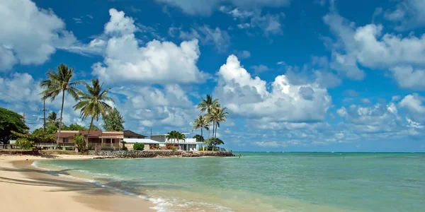 Érintetlen homokos strand palms fák és azure luxus ház — Stock Fotó