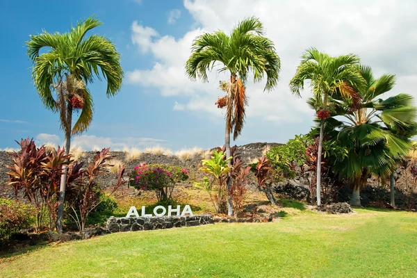 Aloha segno con palme su Big Island Hawaii — Foto Stock