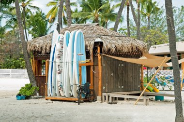 kona hawaii büyük ada plaj üzerinde sörf Kiralama Dükkanı