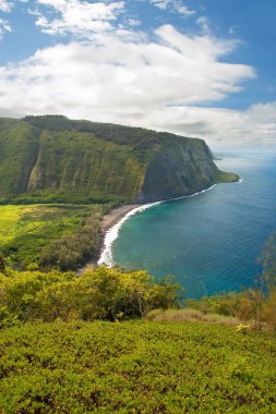 Waipio valley lookout sign on Hawaii Big Island clipart