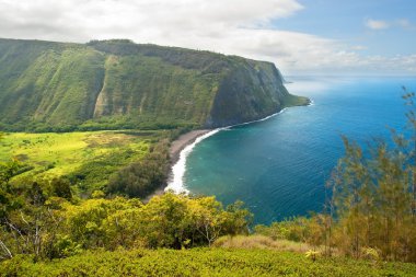 Waipio valley lookout on Hawaii Big Island clipart