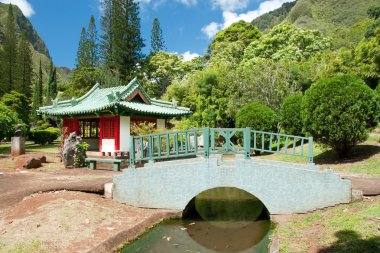 Japon bahçe IAO valley state Park maui Hawaii
