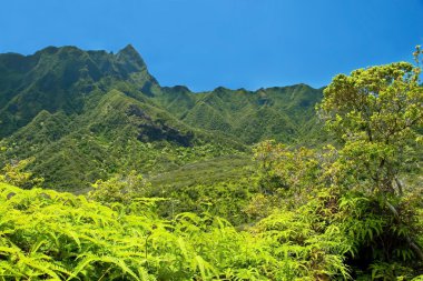 IAO valley state park maui Hawaii