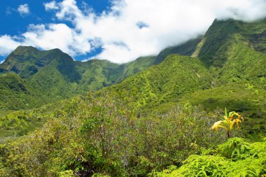 IAO valley state park maui Hawaii