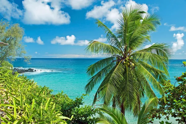 Paraíso do Havaí na ilha Maui — Fotografia de Stock