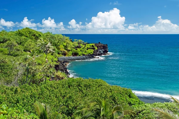 Гавайский рай на острове Мауи — стоковое фото