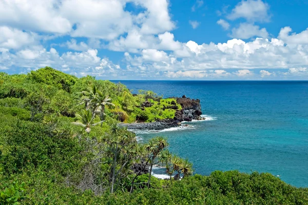 Hawaii paraíso en la isla de Maui — Foto de Stock