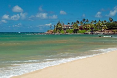 bakir kumsal avuç içi ağaç ve gök mavisi üzerinde lüks ev