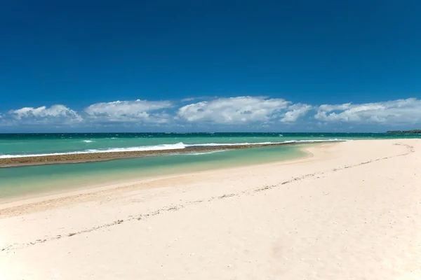 Bella spiaggia vuota sulle Hawaii — Foto Stock