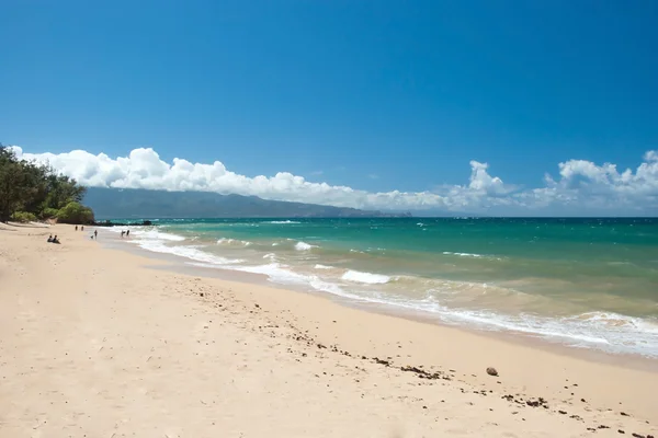 Nádherná prázdná pláž na hawaii — Stock fotografie