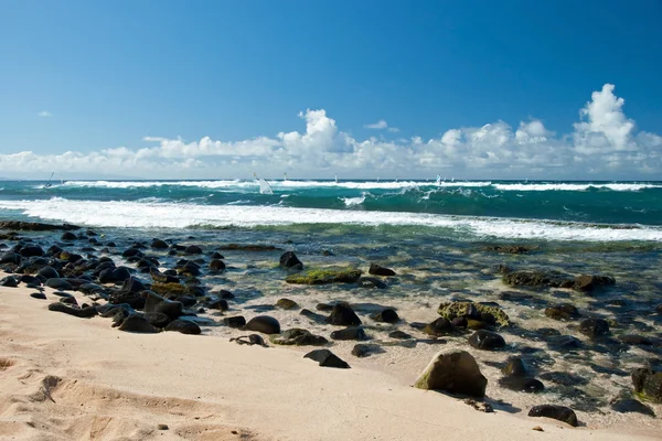 Vindsurfare i blåsigt väder på maui ö — Stockfoto