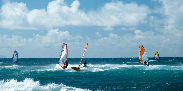 Windsurfers in windy weather on Maui Island panorama — Stock Photo, Image