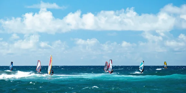 Windsurfers in windy weather on Maui Island panorama Royalty Free Stock Images