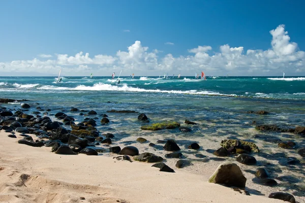 Windsurfistas con viento en Isla Maui — Foto de Stock