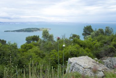 istanbul'da büyük ada göster
