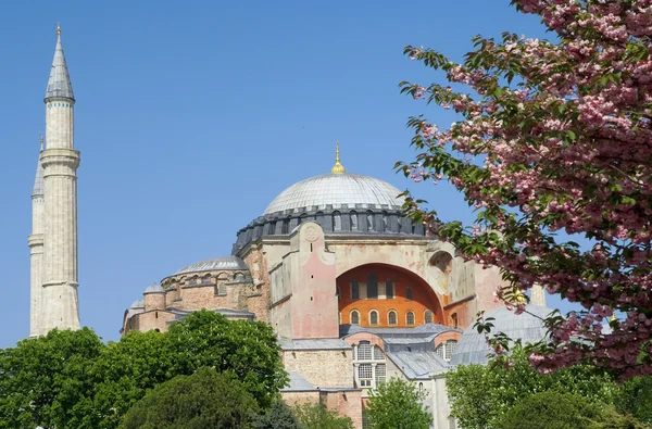 Hagia Sophia i Istanbul Turkiet — Stockfoto