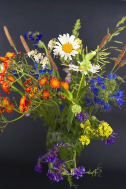 siyah zemin kır çiçekleri