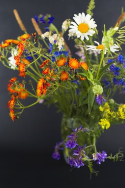 siyah zemin kır çiçekleri