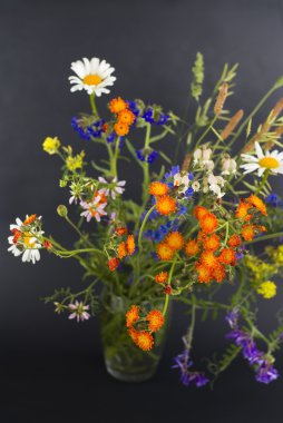 siyah zemin kır çiçekleri