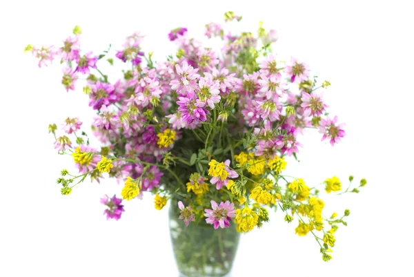 Buquê de flores silvestres em um fundo branco — Fotografia de Stock