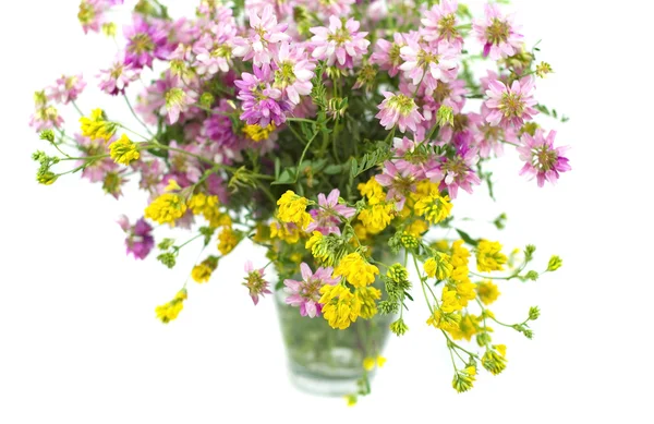 Bouquet of wild flowers on a white background — Stock Photo, Image