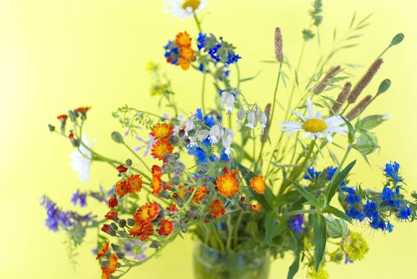 Flores silvestres sobre un fondo amarillo — Foto de Stock