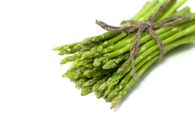 genç grup yeşil kuşkonmaz