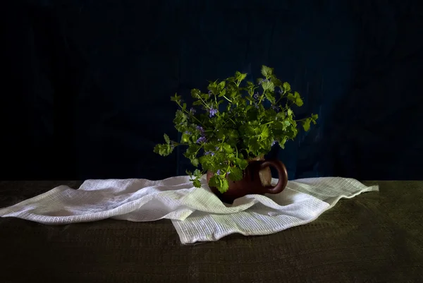静物与蓝色的小花 — 图库照片