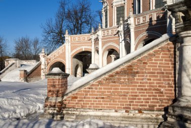 Moskova'da bakire şefaat Kilisesi