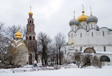 Moskova, Rusya 'daki Novodevichy Manastırı