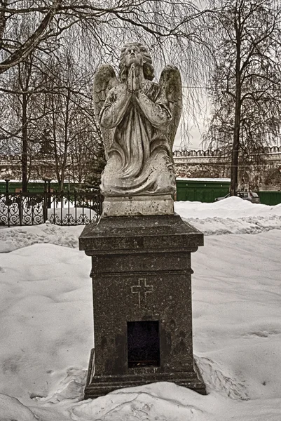 Bidden engel — Stockfoto