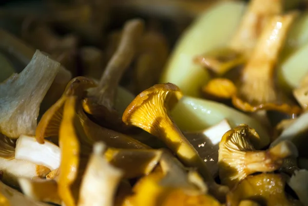 Chanterelle mushrooms with potatoes — Stock Photo, Image