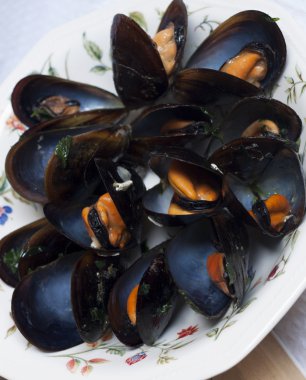 sarmısak ve maydanoz ile haşlanmış midye grubu