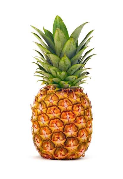 Ananas na białym tle — Zdjęcie stockowe