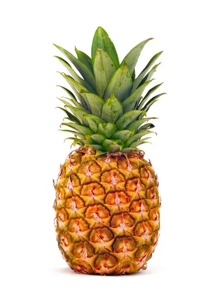 Ananas na białym tle Zdjęcie Stockowe