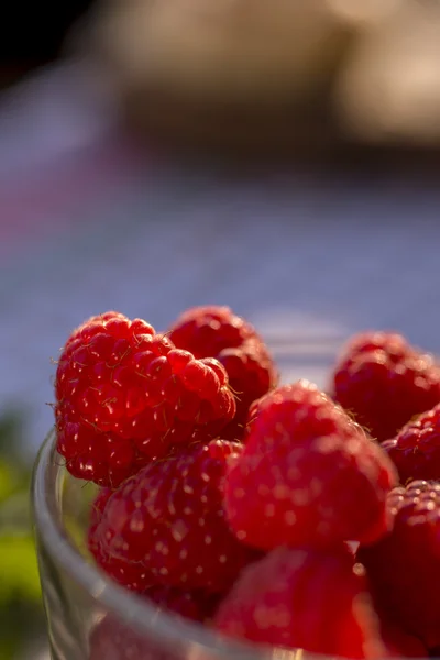 Raspberry summer — Stock Photo, Image