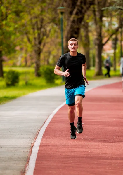 Runner Muž Běží Městském Parku Slunečného Letního Dne Sluncem Zelených — Stock fotografie