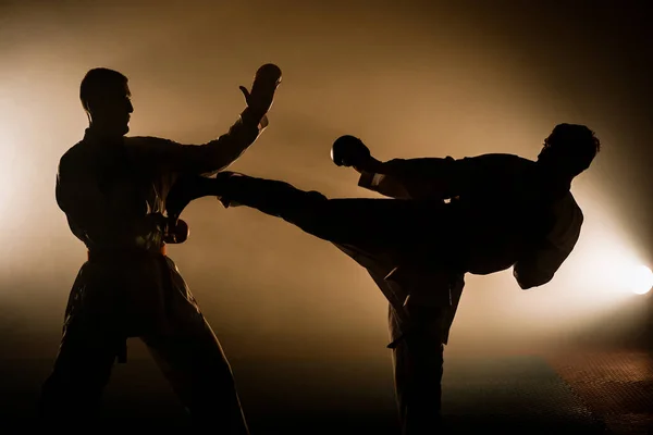 Retrato Profesional Caucásico Taekwondo Cinturón Negro Grado Dan Realizar Patada — Foto de Stock